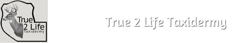 True&nbsp;2 life taxidermy